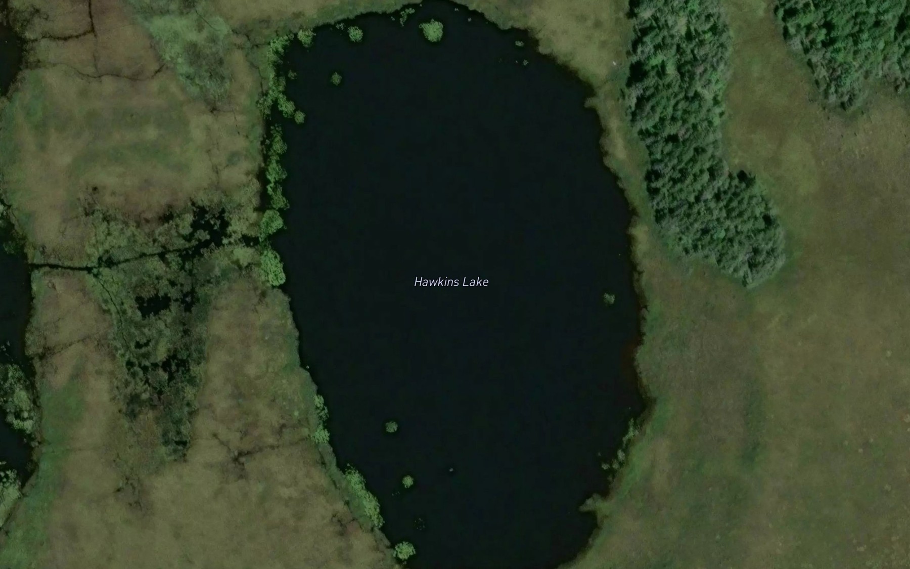 Satellite map of the Hawkins Lake