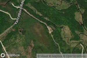 Beaver Brook