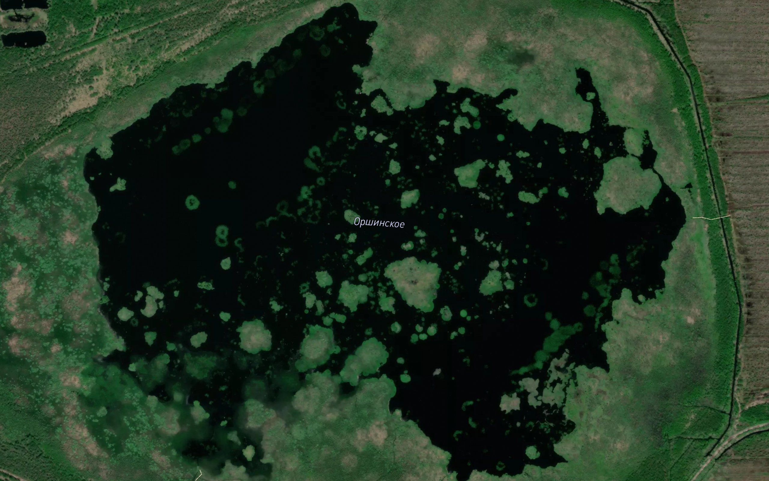 Ozero Orshinskoye
