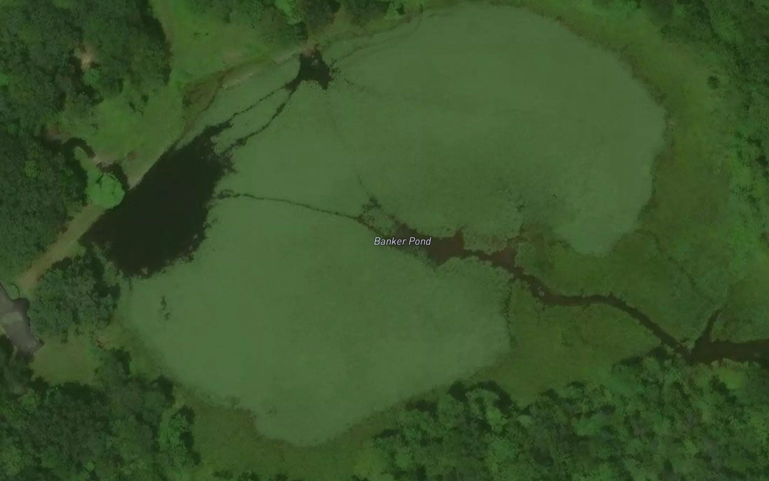 Banker Pond