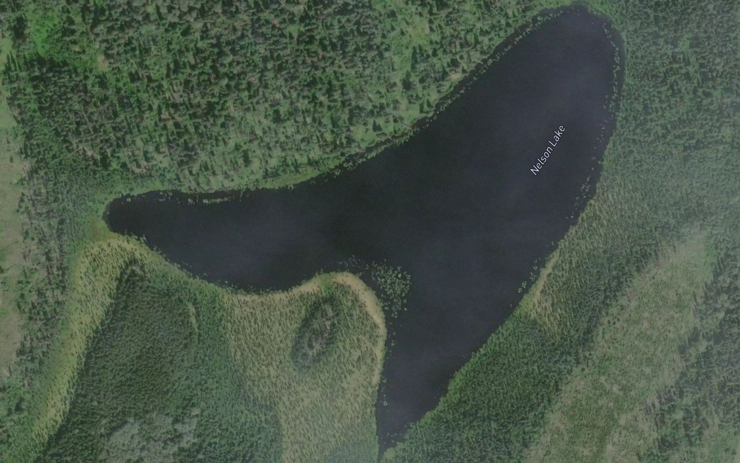 Nelson Lake
