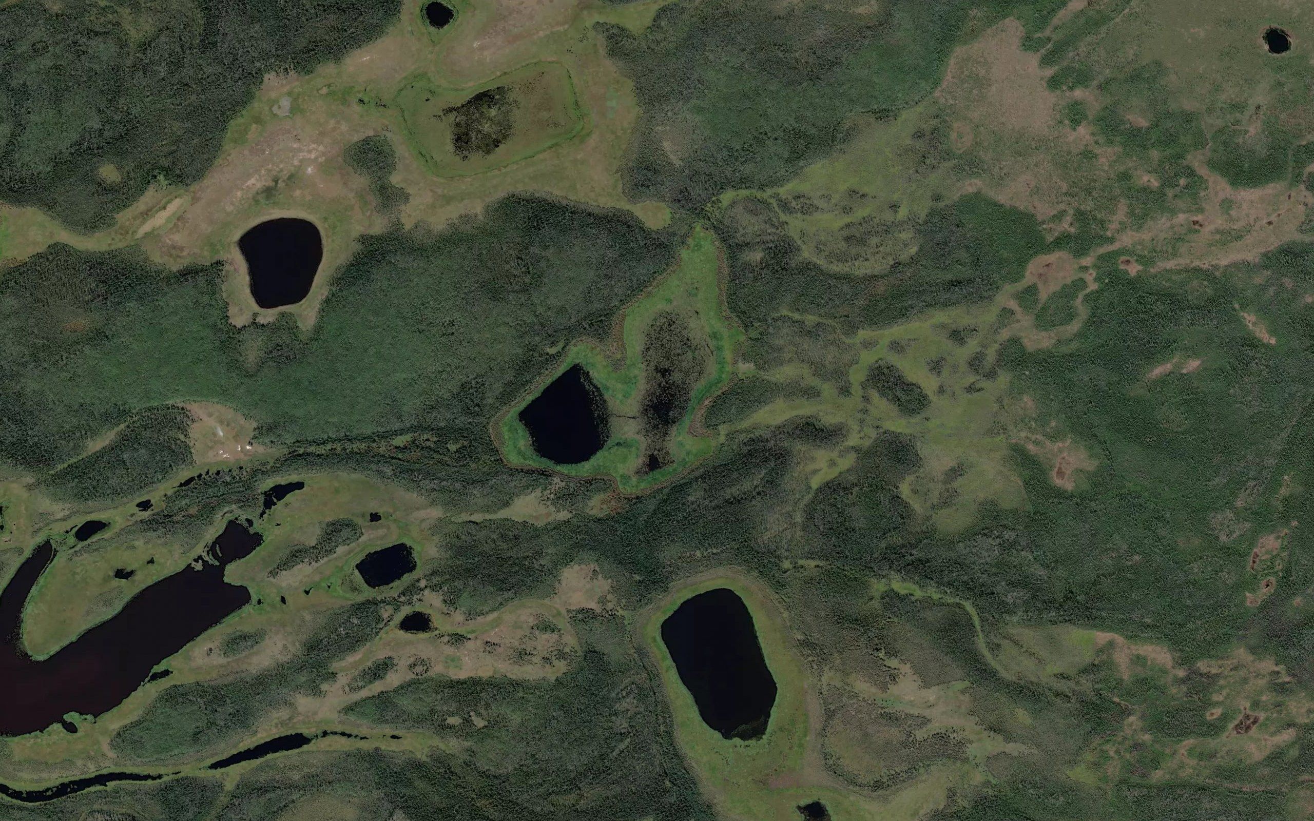 Duck Lake