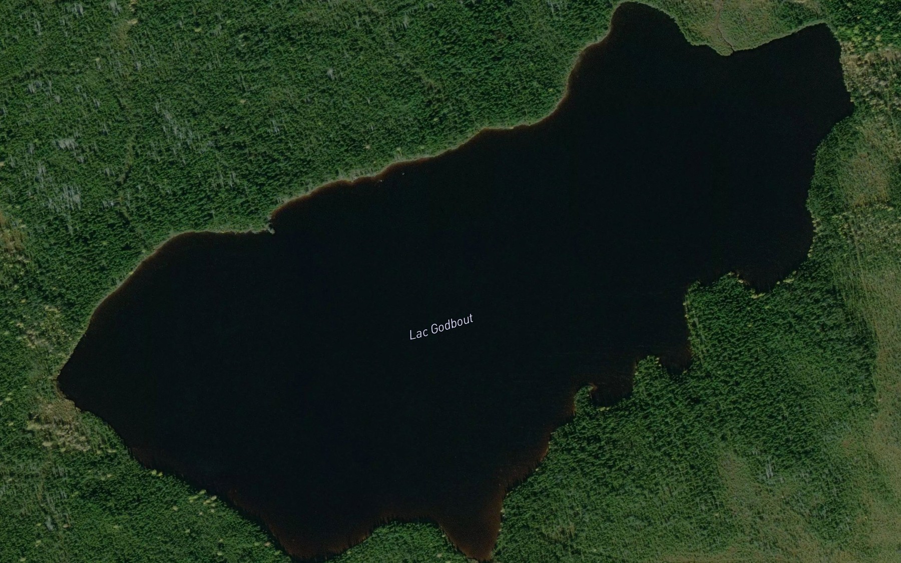 Satellite map of the Lac Godbout