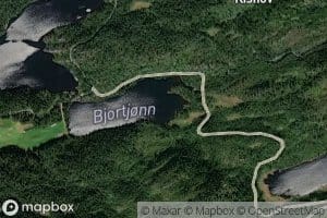 Bjortjorn