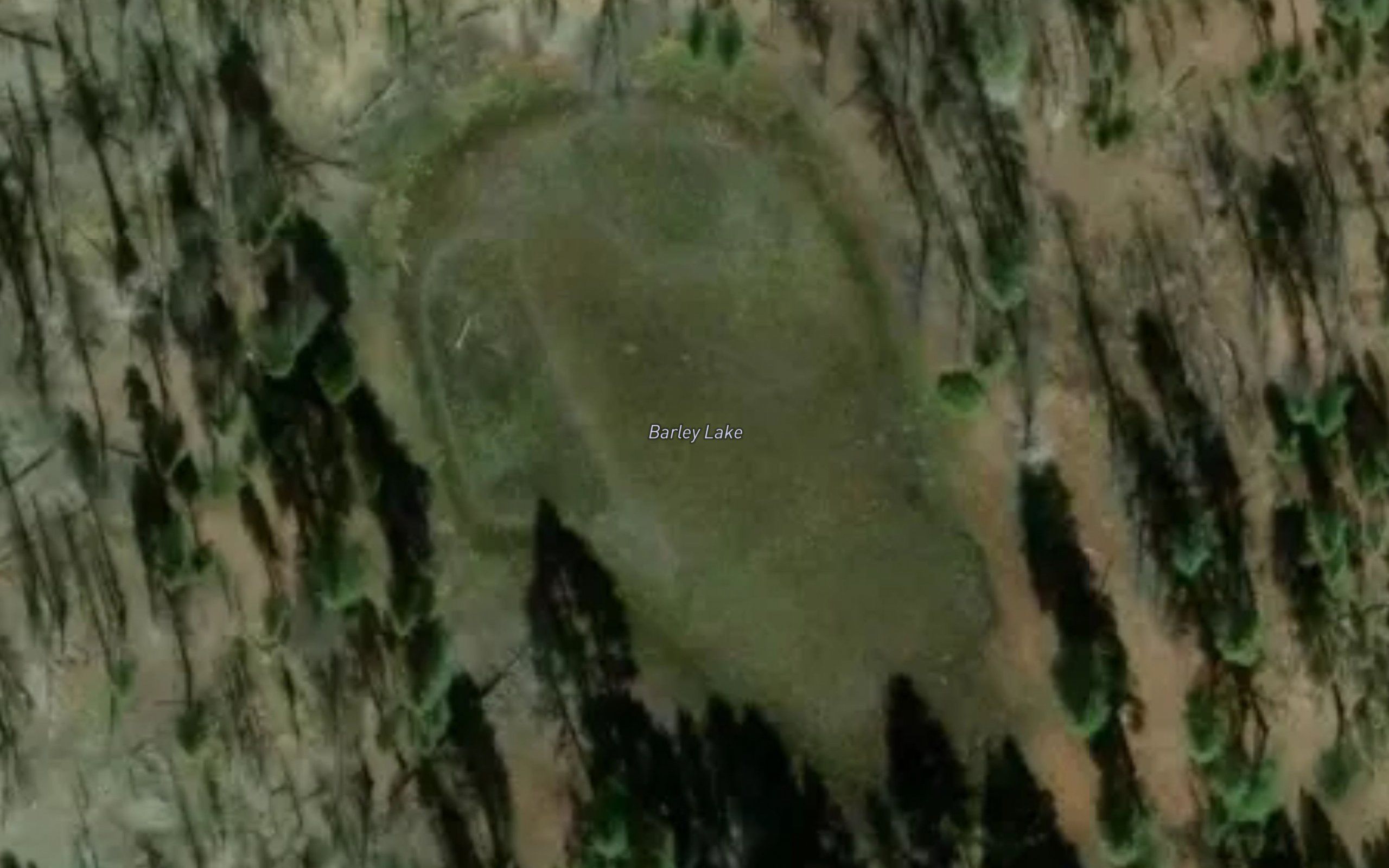 Barley Lake