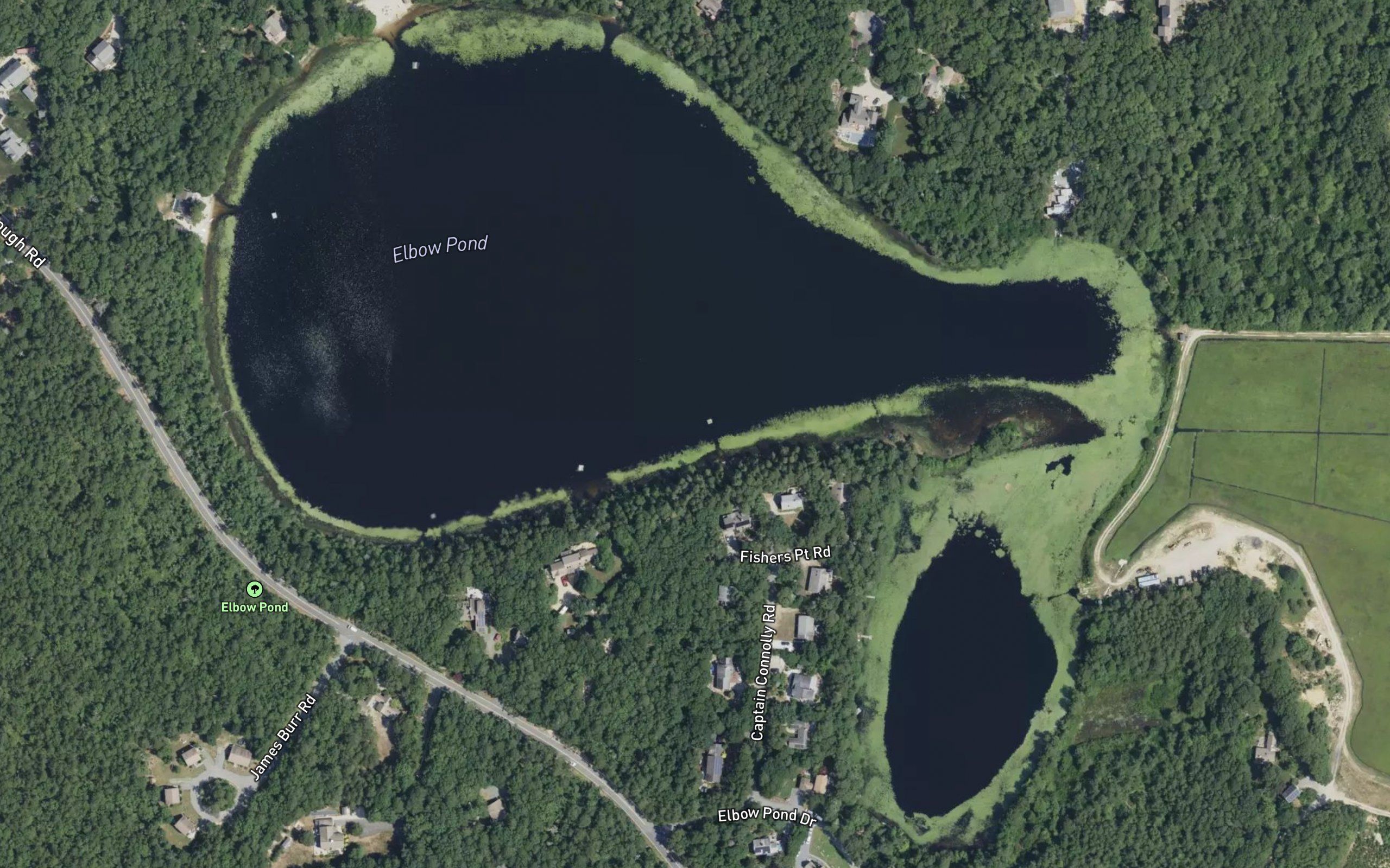 Elbow Pond