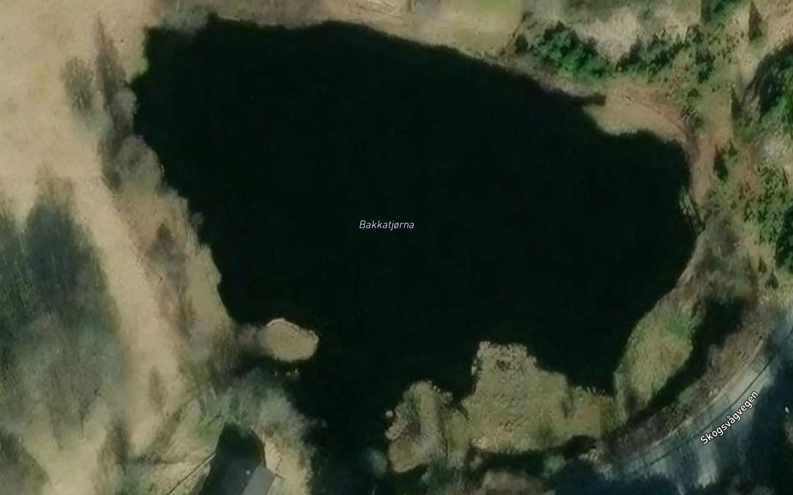 Bakkatjorna