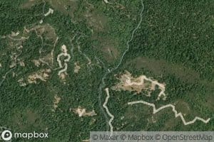 Stapling Creek