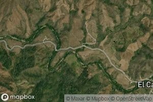 Papayo