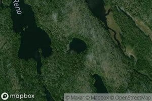 Lac Fox