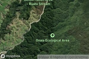 Onaia Stream