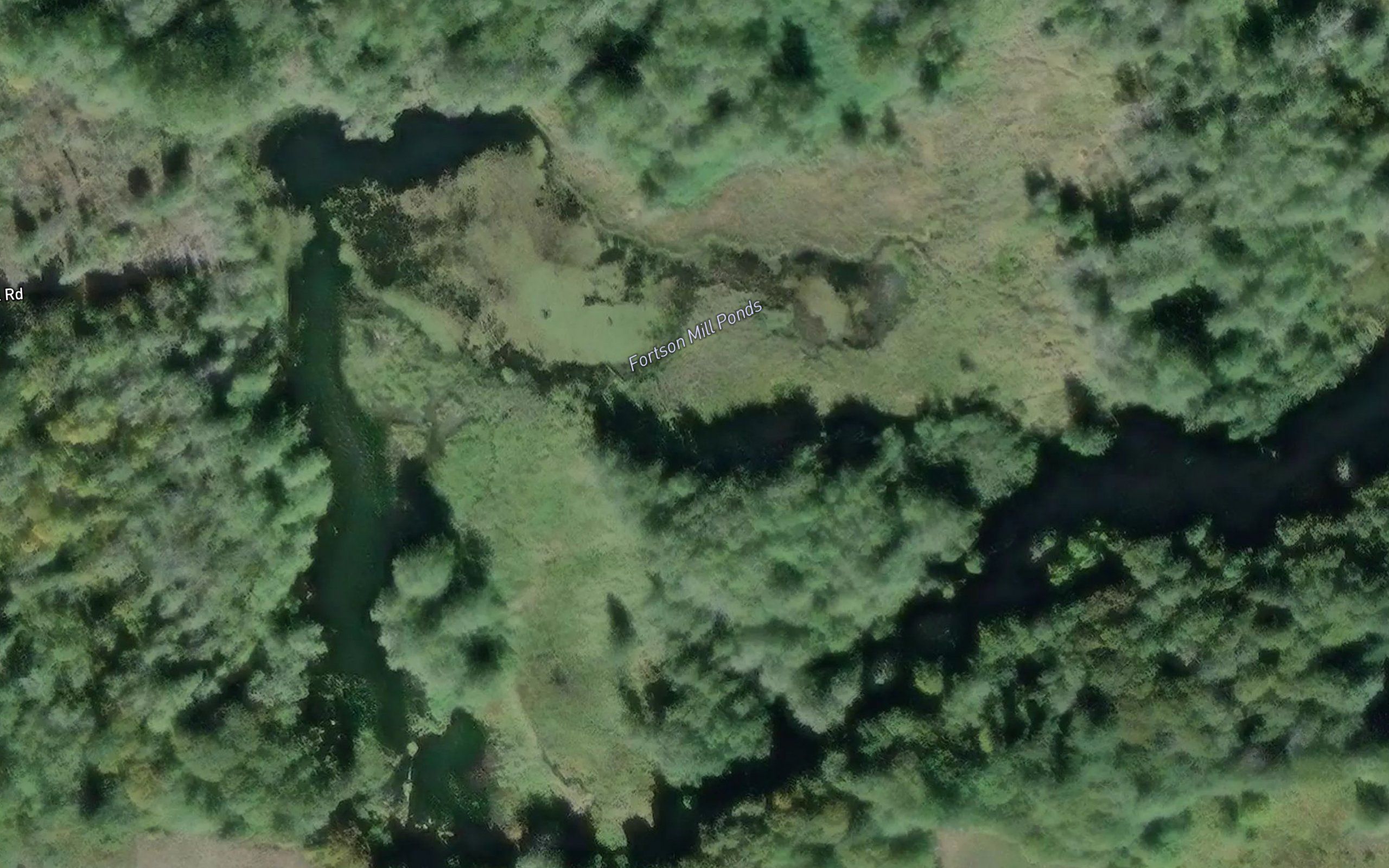 Fortson Ponds