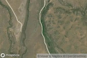 Cow Springs