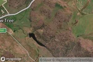 Cockatoo Rivulet