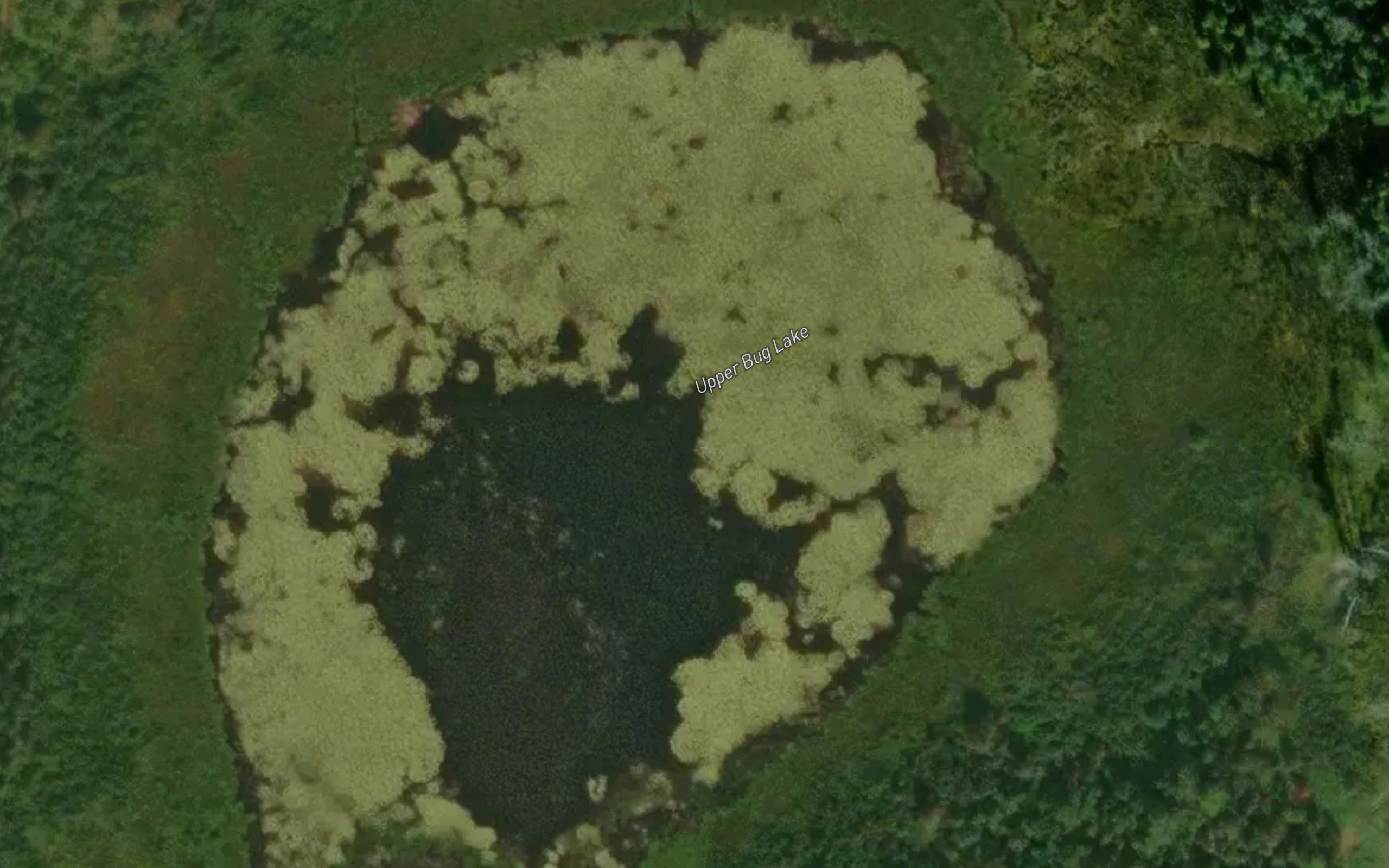 Upper Bug Lake