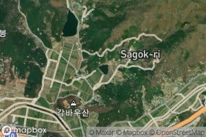 Sagokje