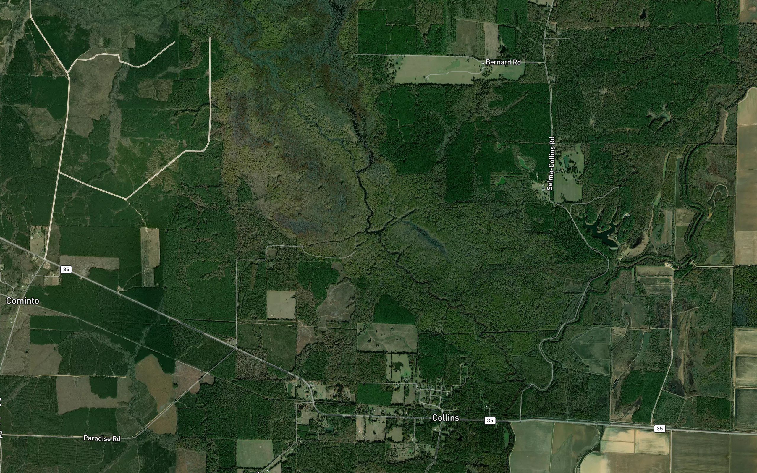 Seven Devils Swamp