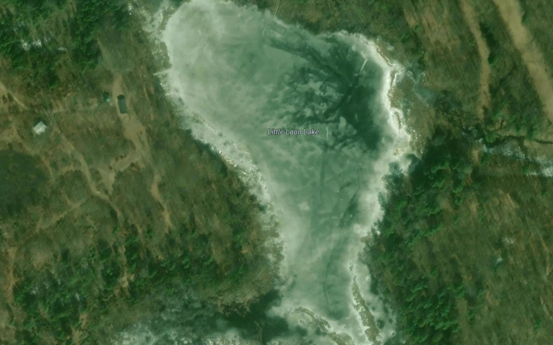 Satellite map of the Little Loon Lake