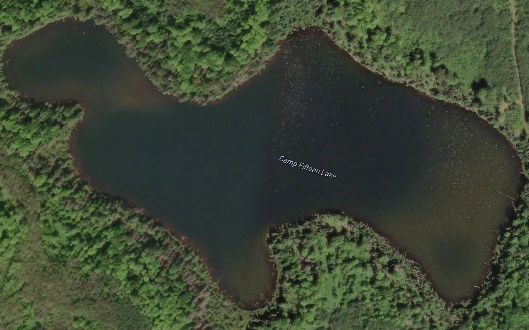 Satellite map of the Camp Fifteen Lake
