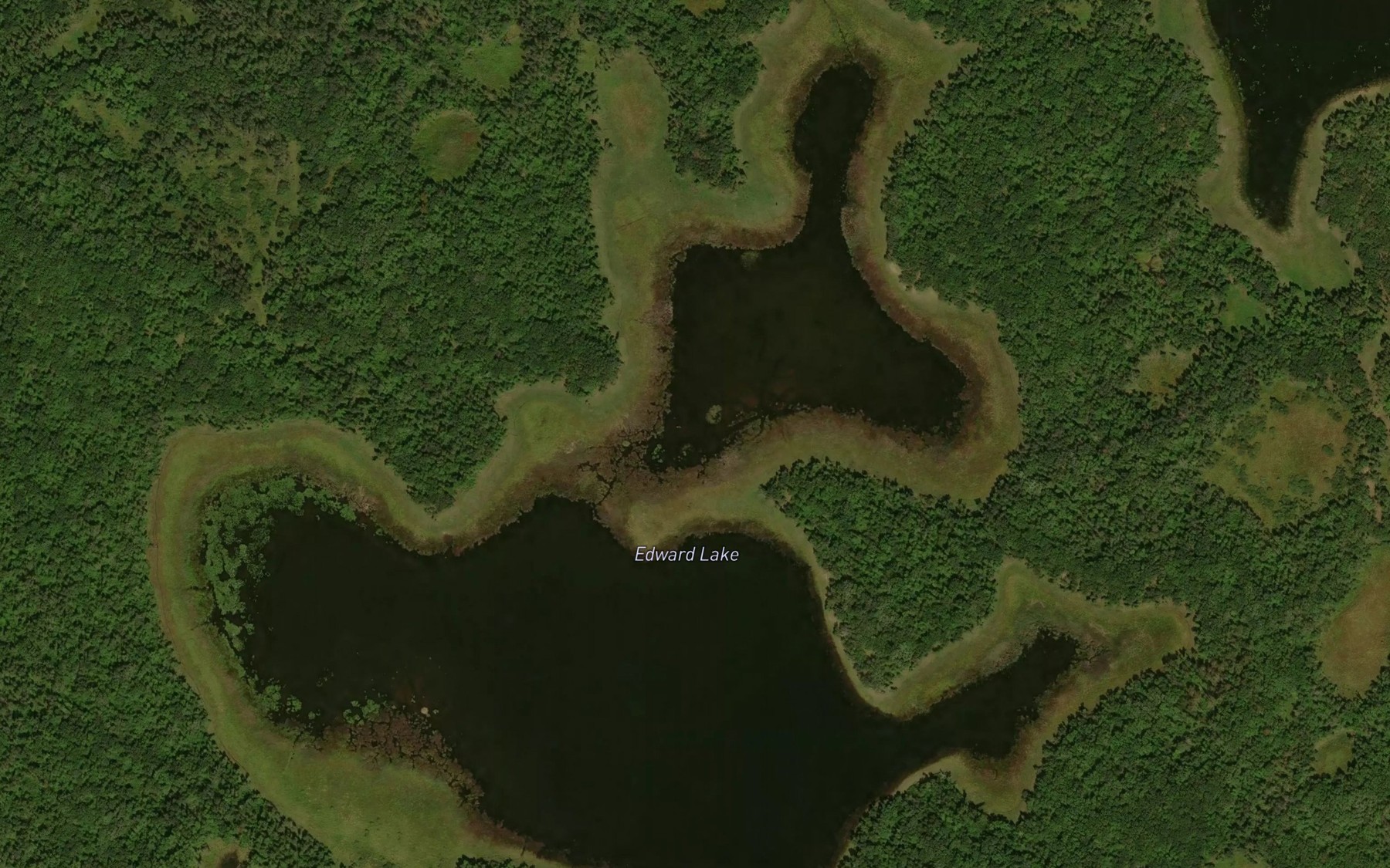 Satellite map of the Edward Lake