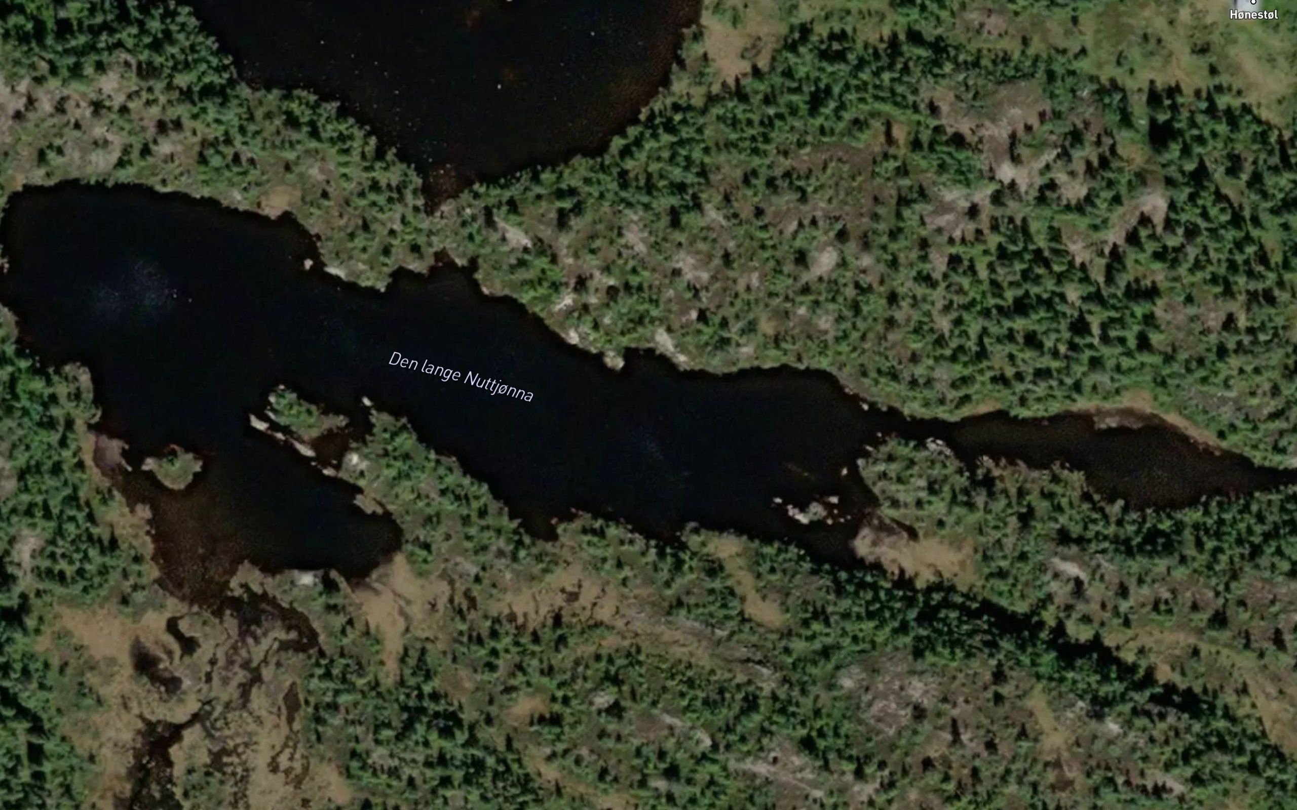 Den lange Nuttjonna