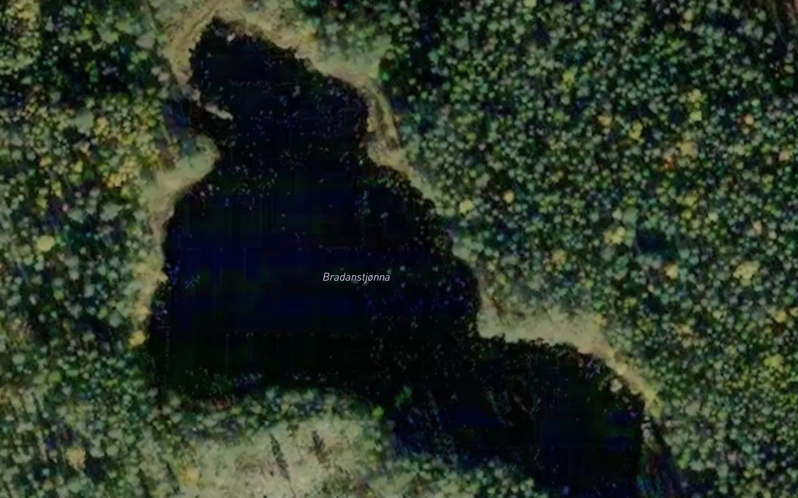 Bradanstjorna