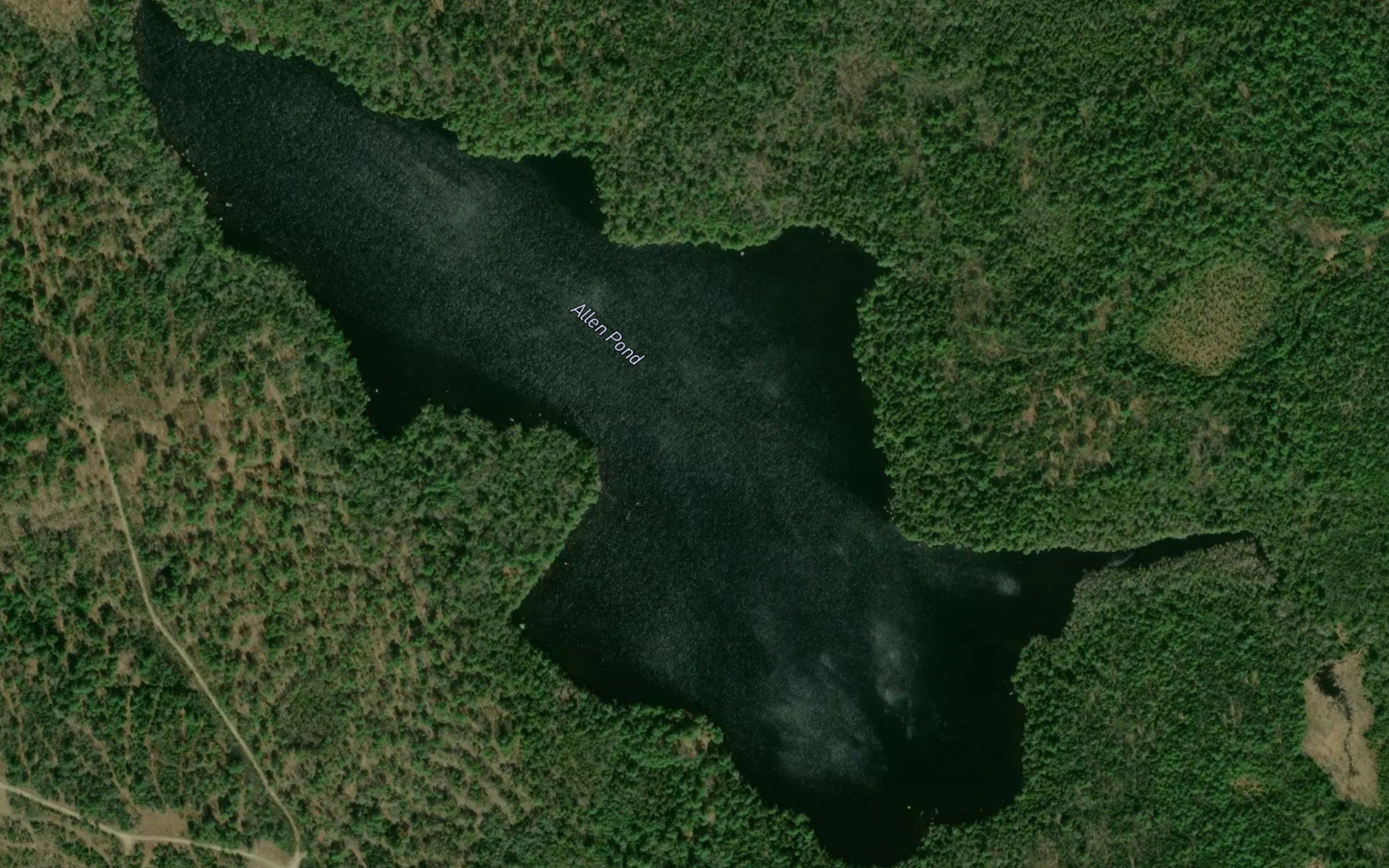Allen Pond