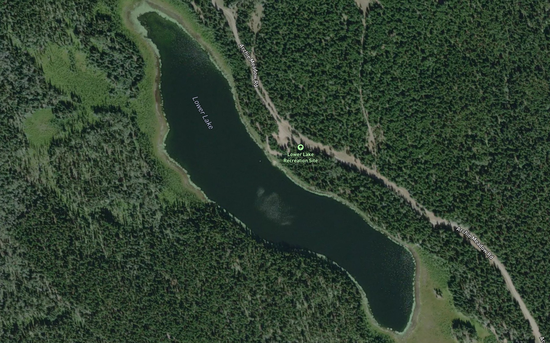 Satellite map of the Lower Lake