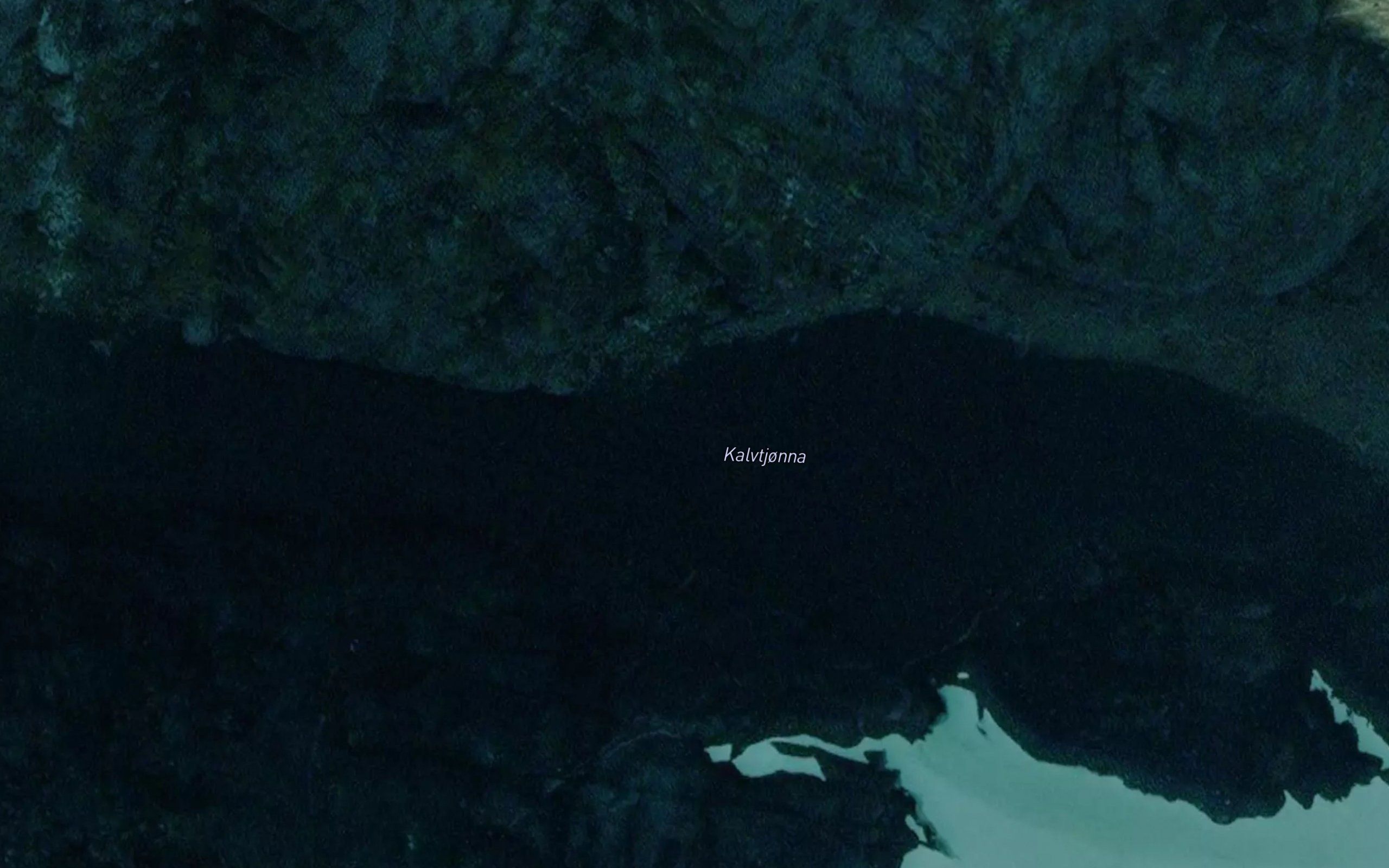 Kalvtjorna