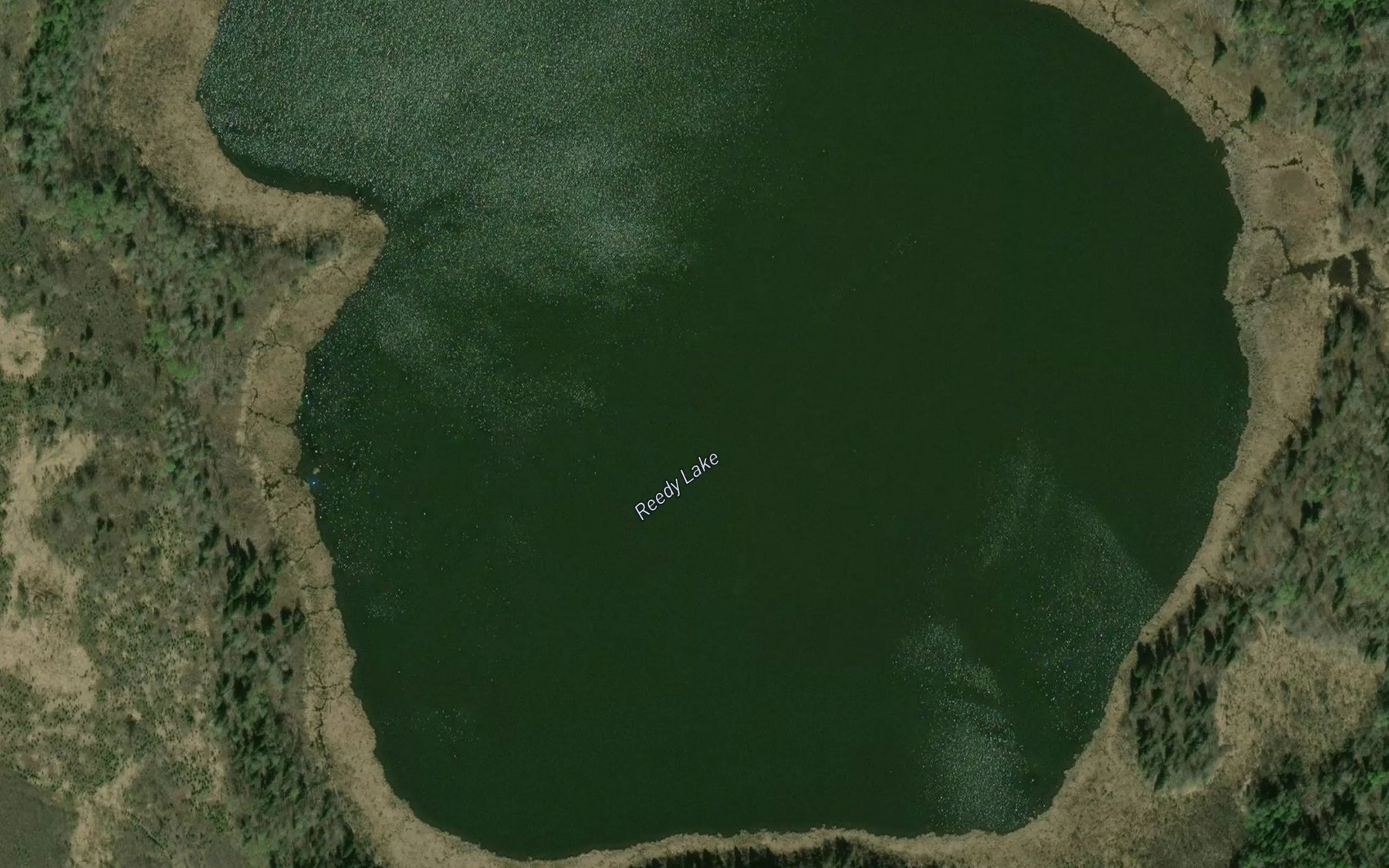 Satellite map of the Reedy Lake
