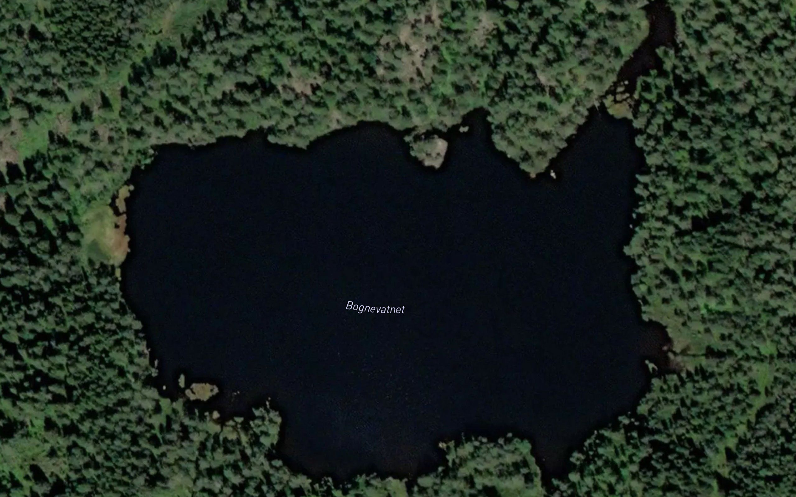 Bognevatn