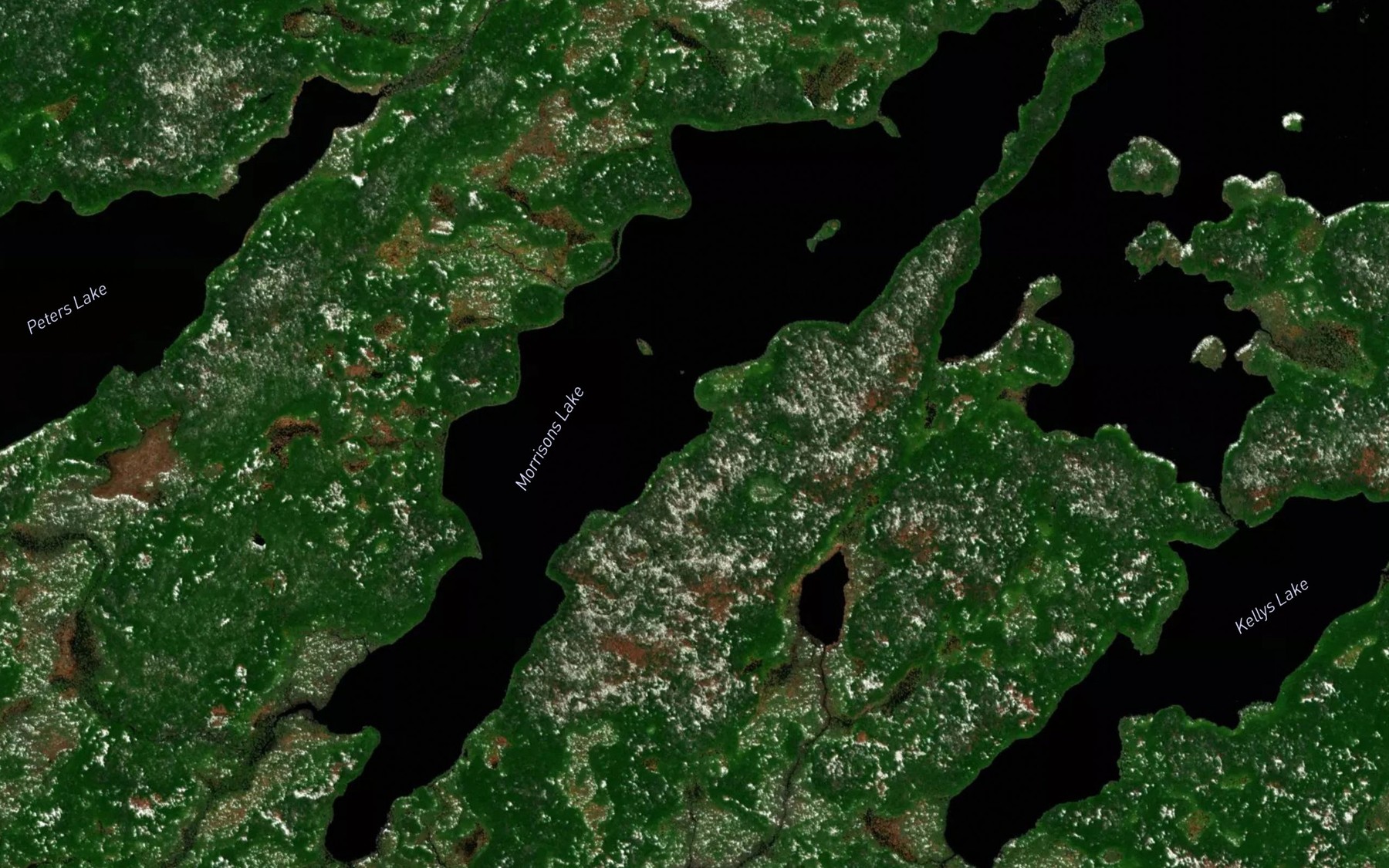 Satellite map of the Morrisons Lake