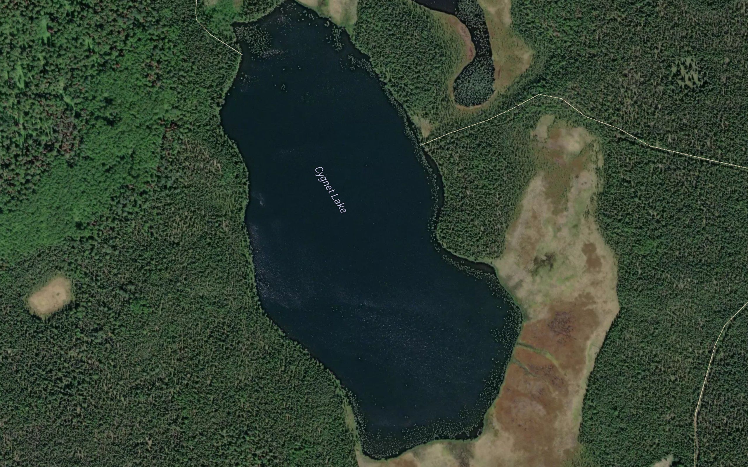Cygnet Lake