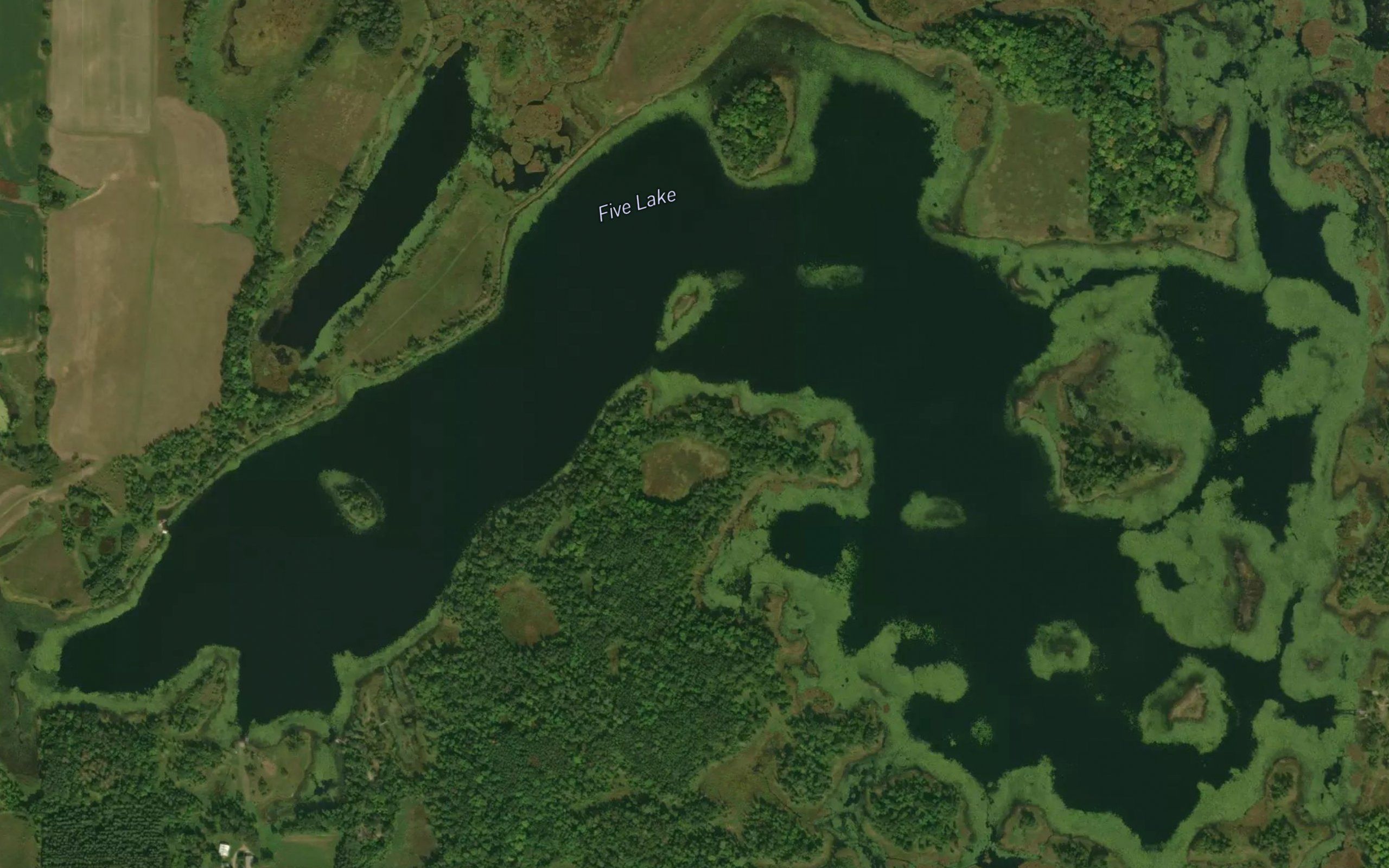 Five Lake