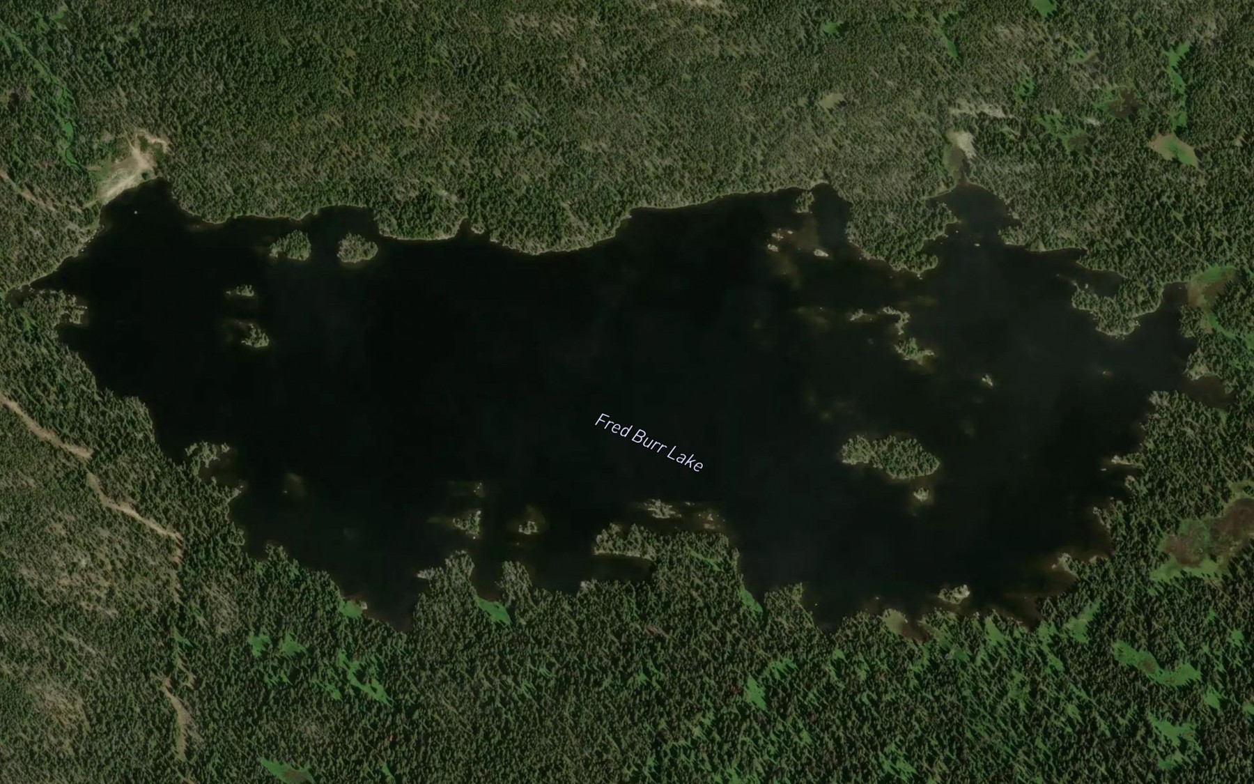Satellite map of the Fred Burr Lake