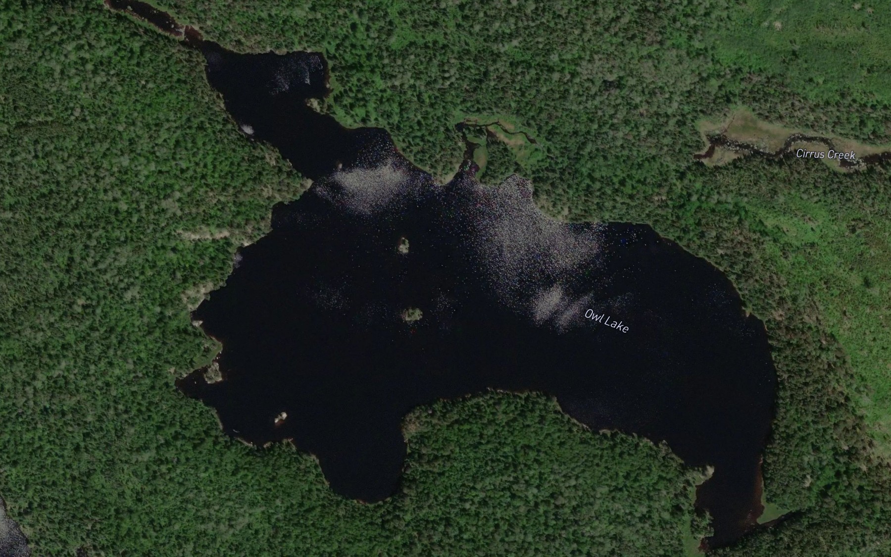 Satellite map of the Owl Lake