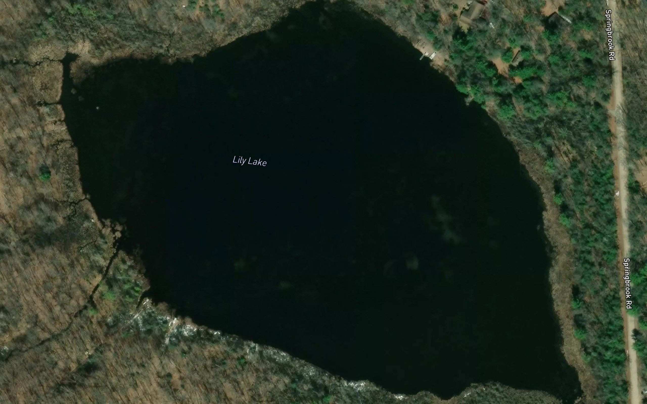 Lily Lake