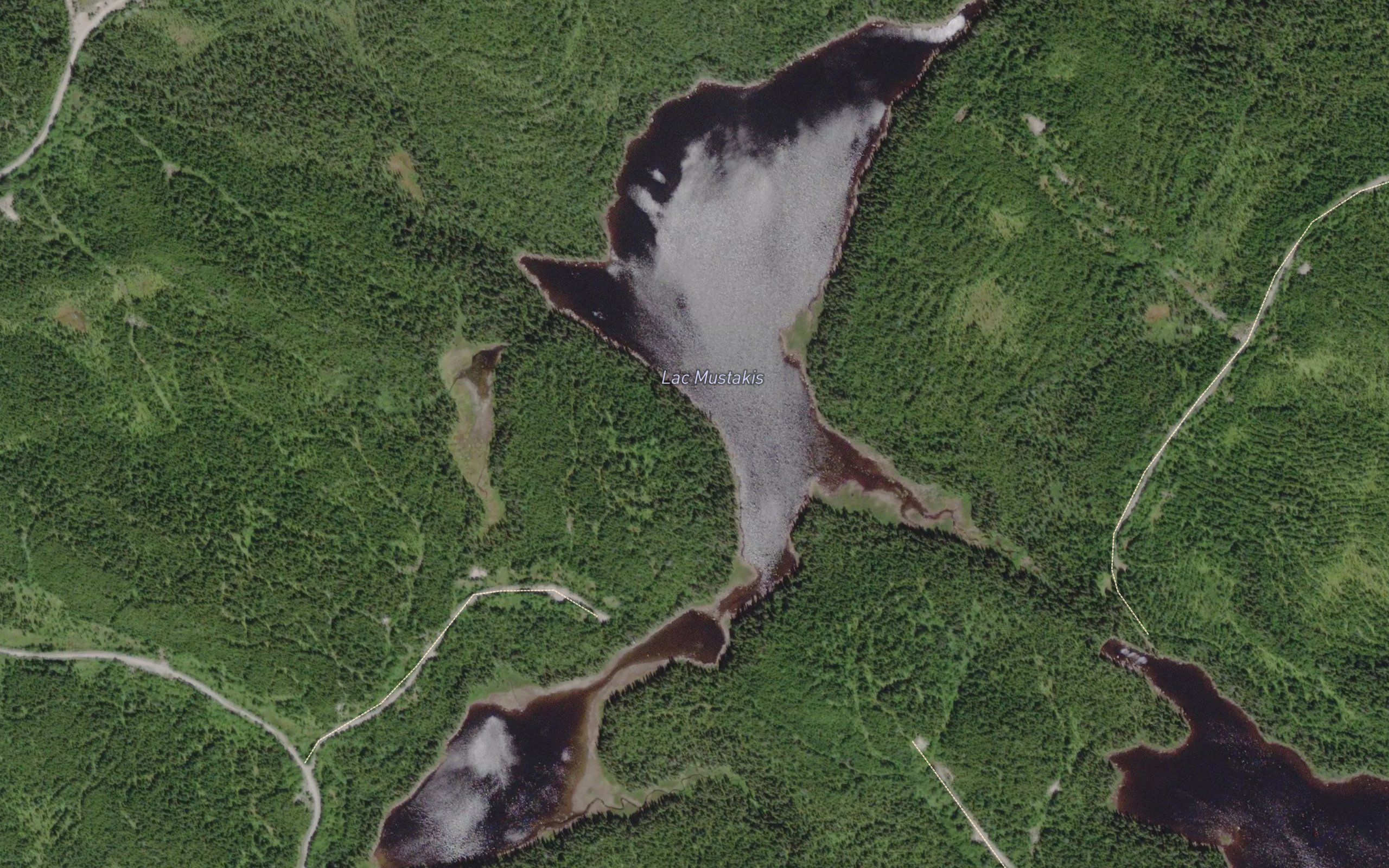 Lac Mustakis
