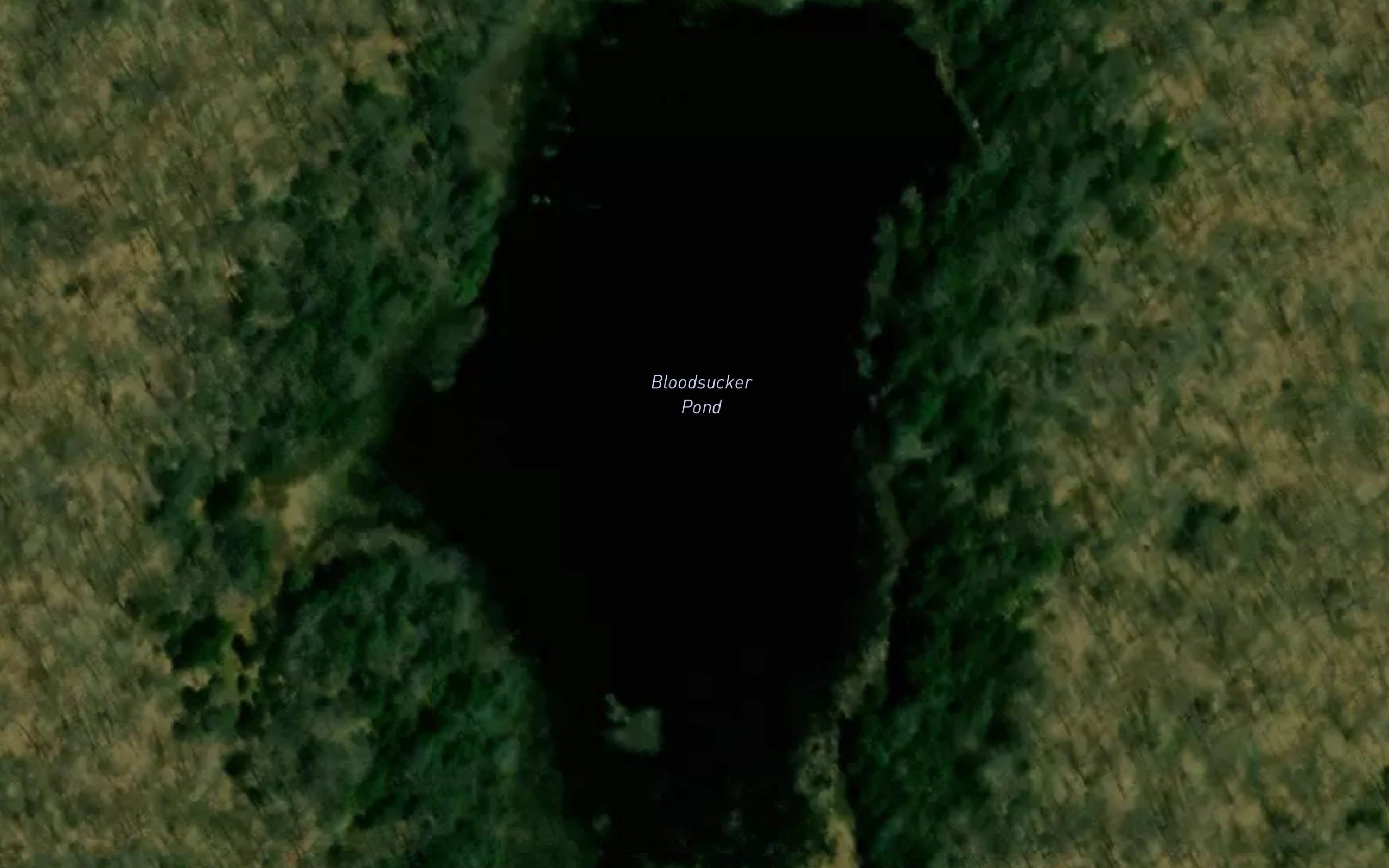 Bloodsucker Pond