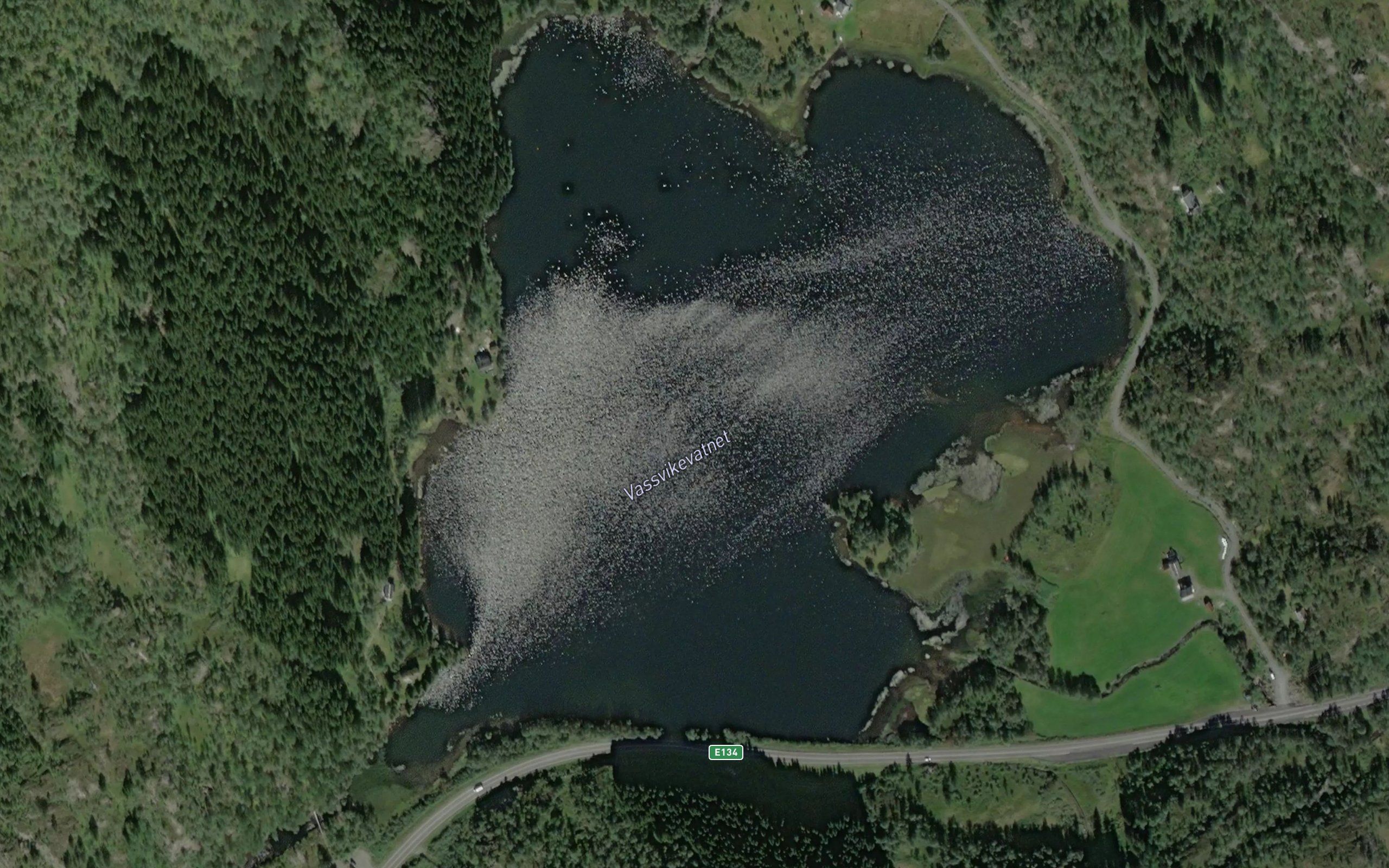 Vassvikevatnet