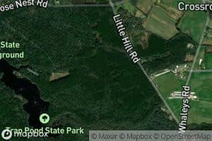 Trussum Pond