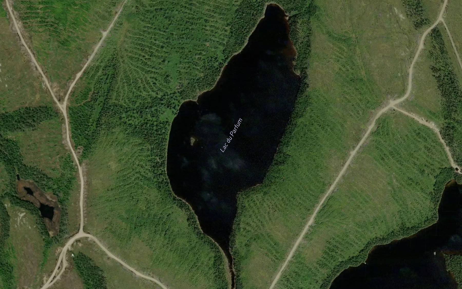 Satellite map of the Lac du Parfum