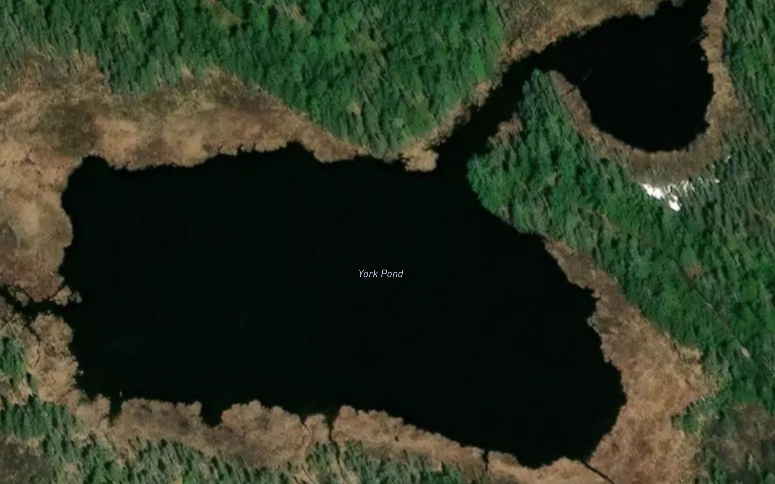 York Pond