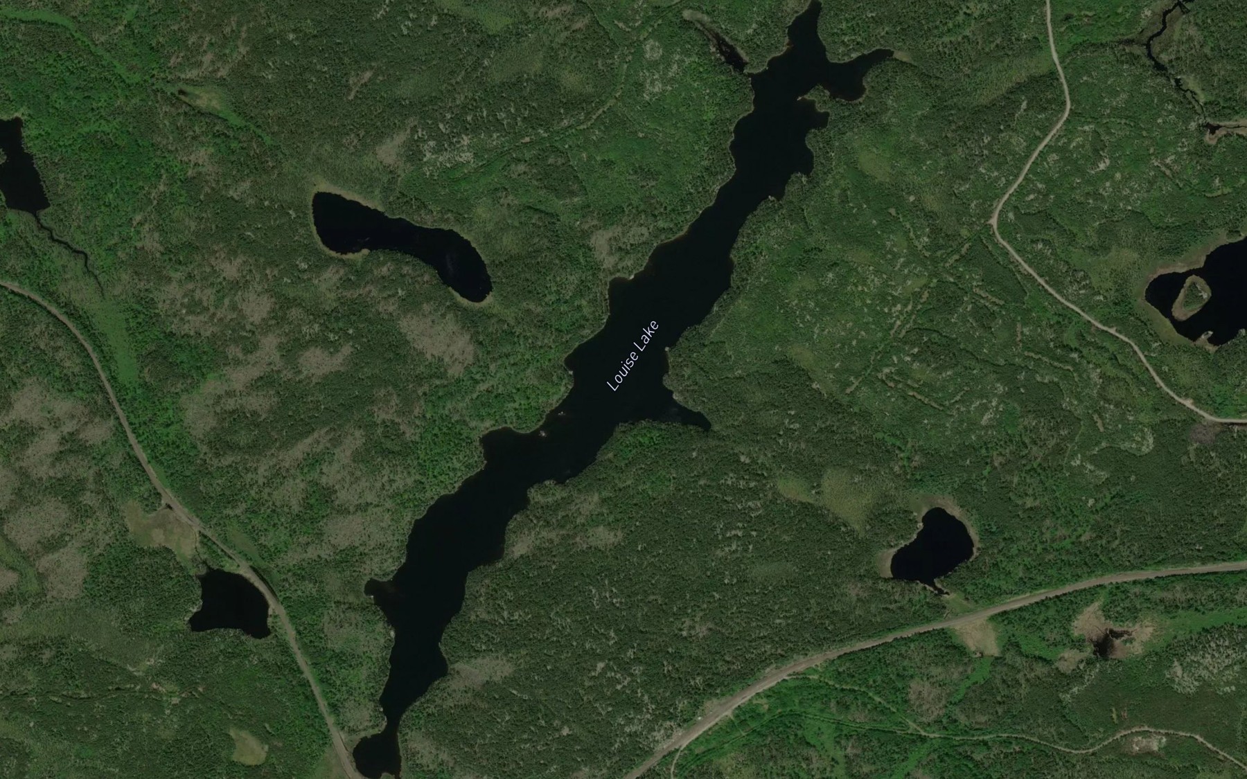 Satellite map of the Louise Lake
