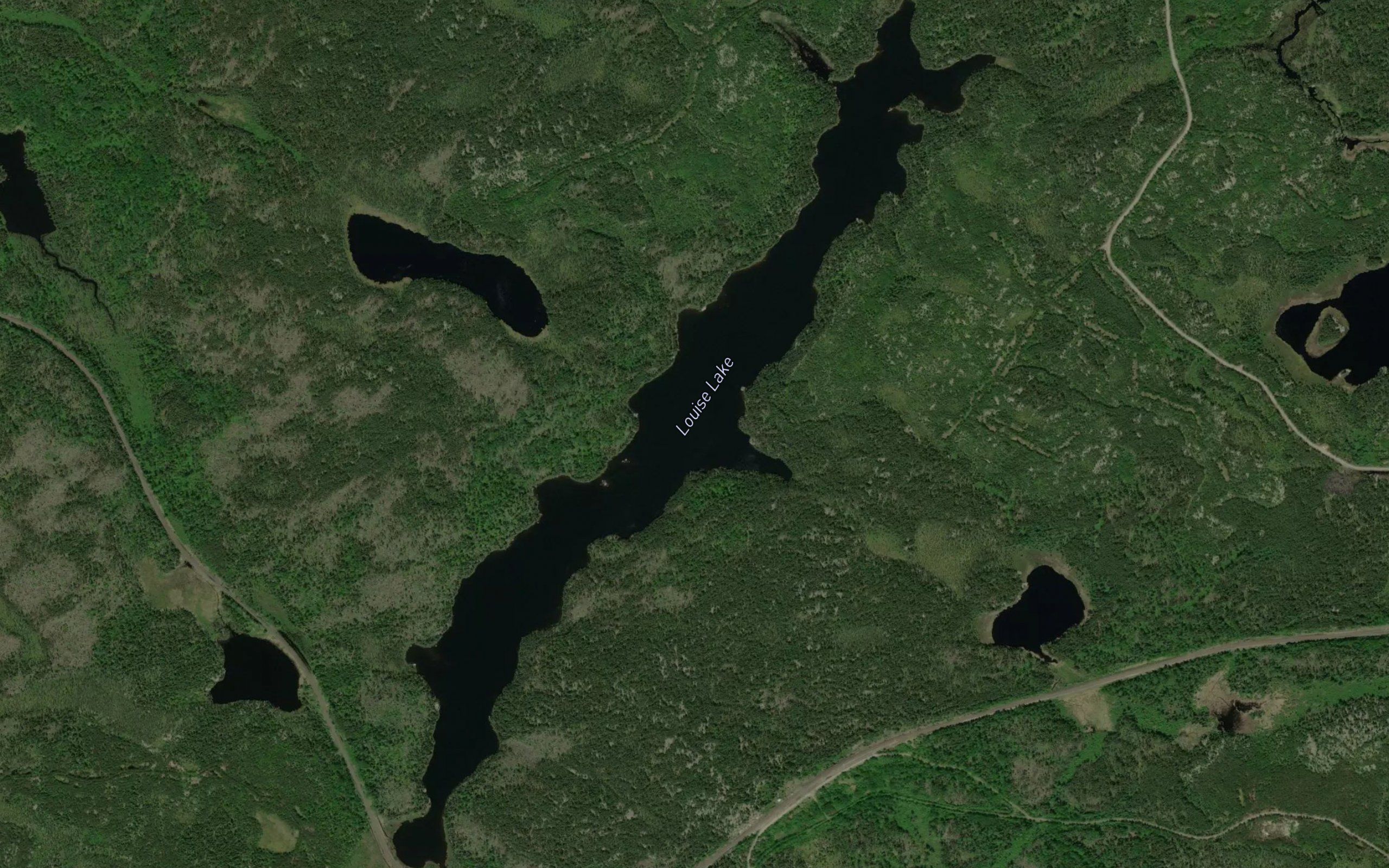 Louise Lake