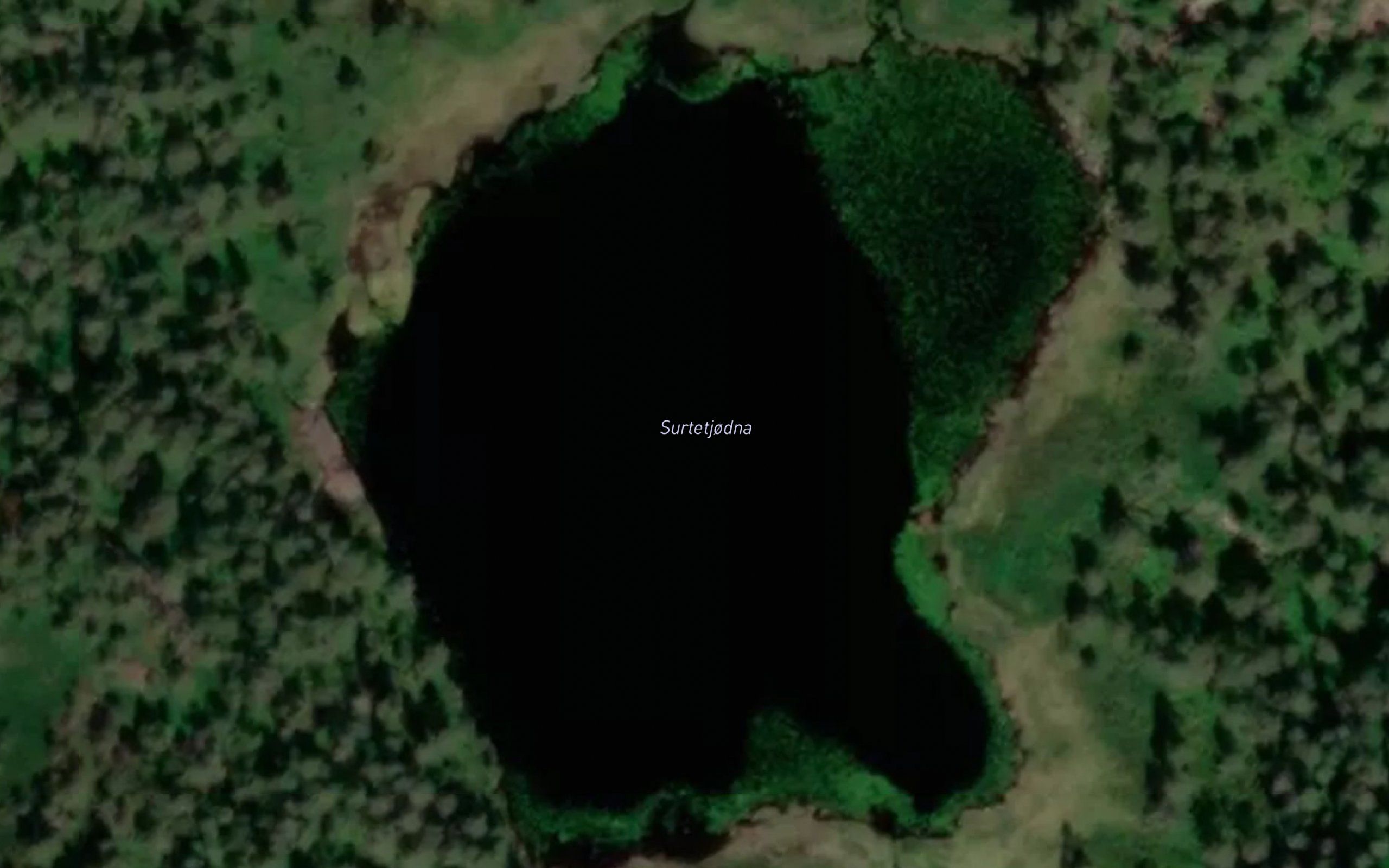 Surtetjorn