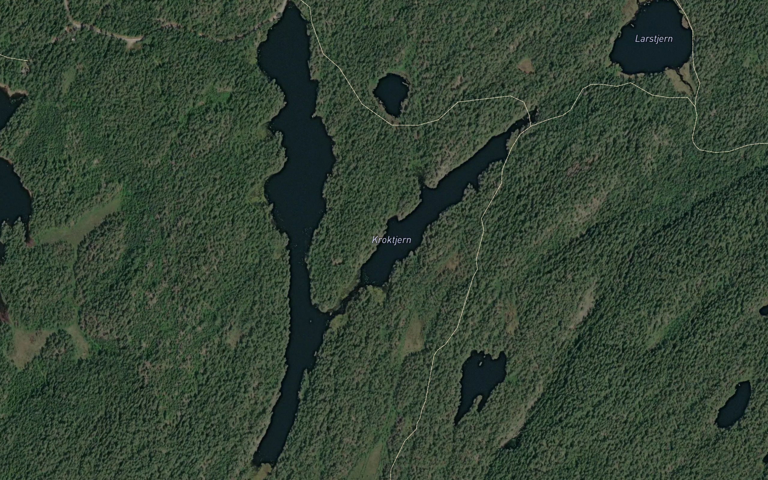 Kroktjern