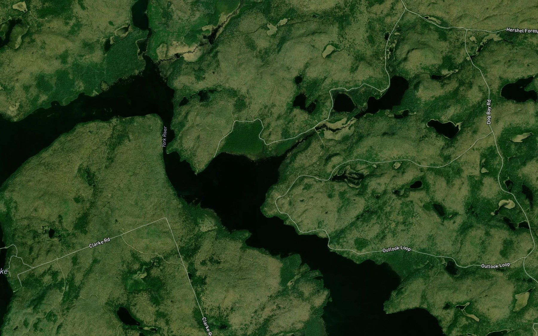 Satellite map of the Hamilton Creek