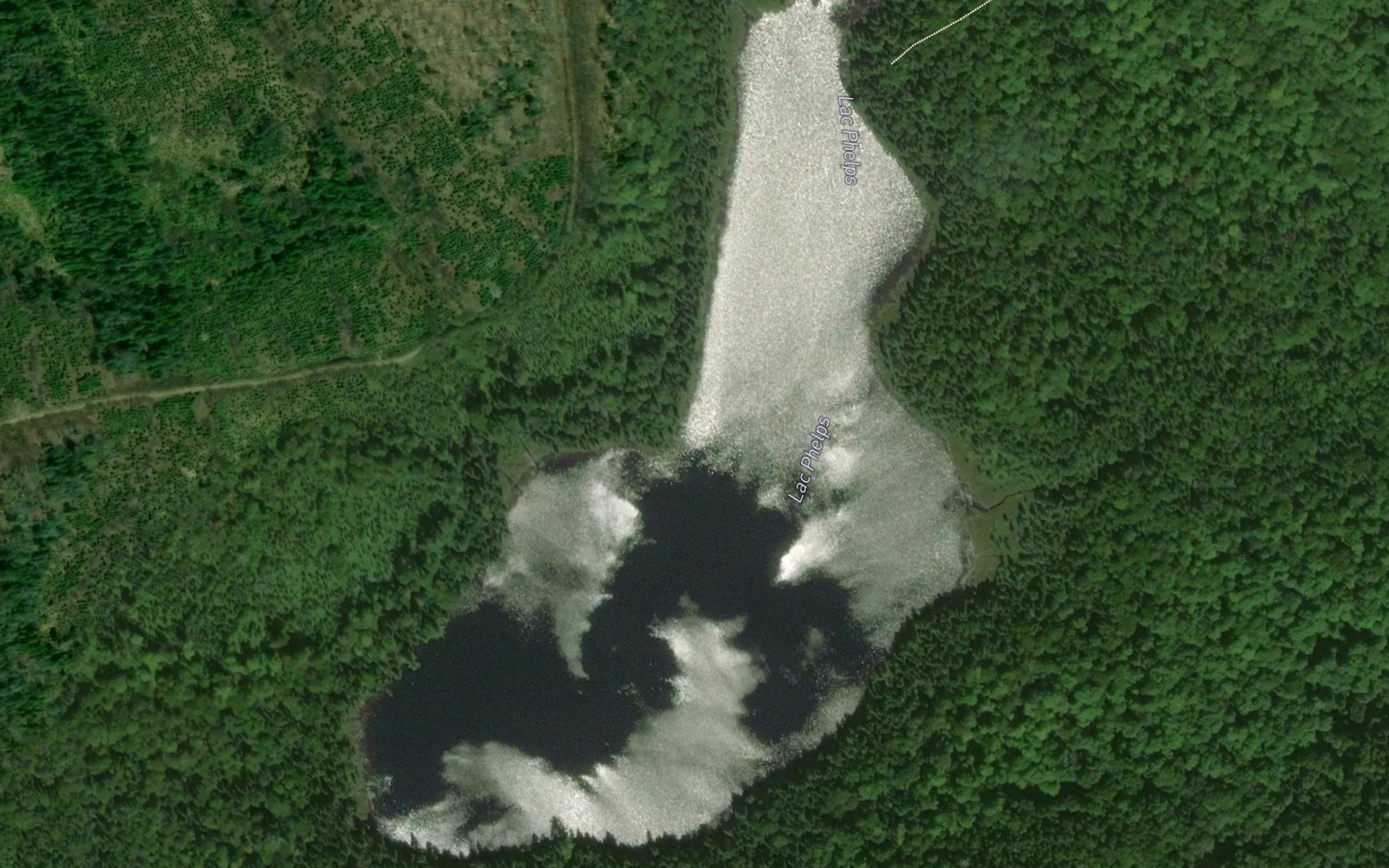 Lac Phelps