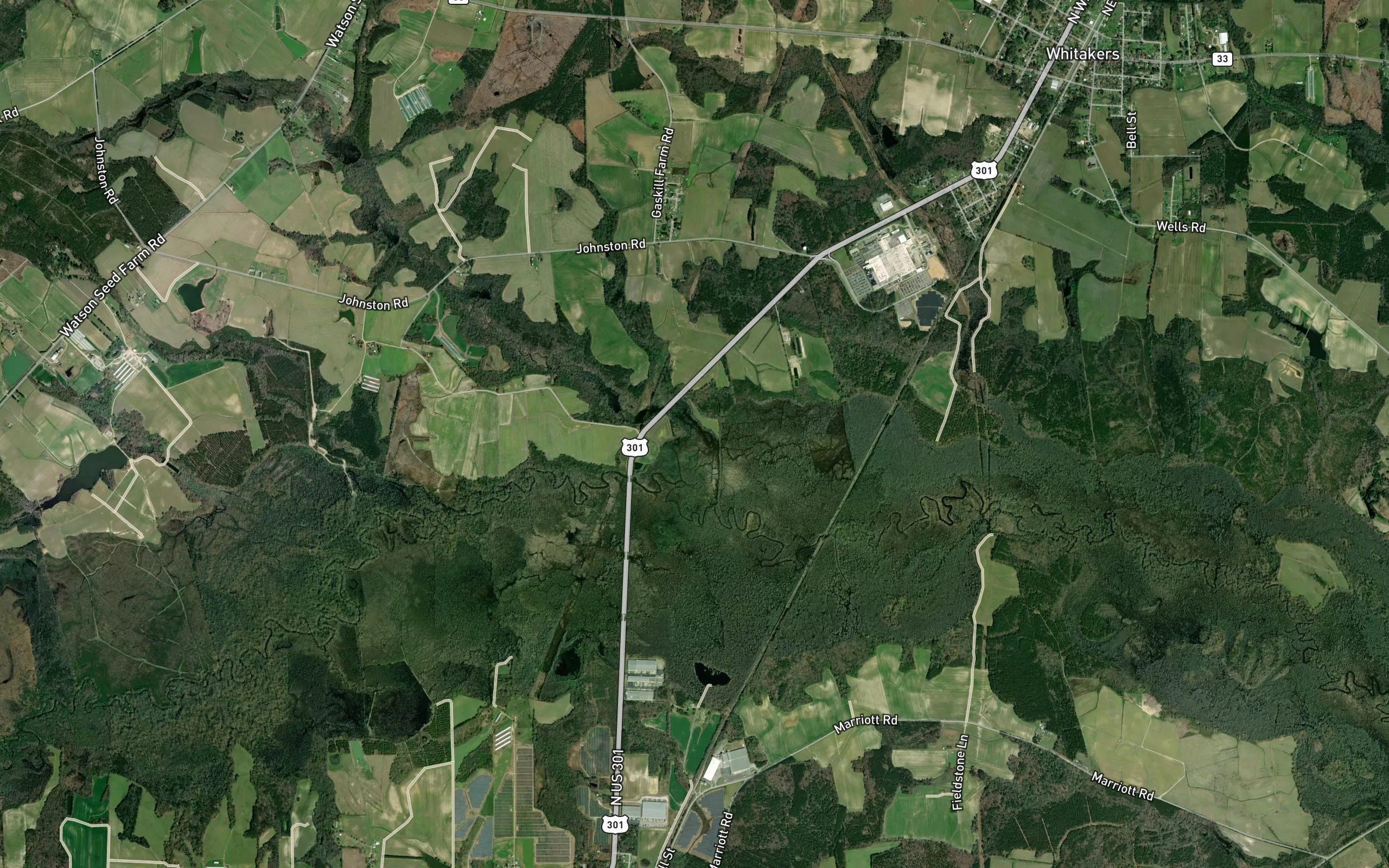 Lane Swamp